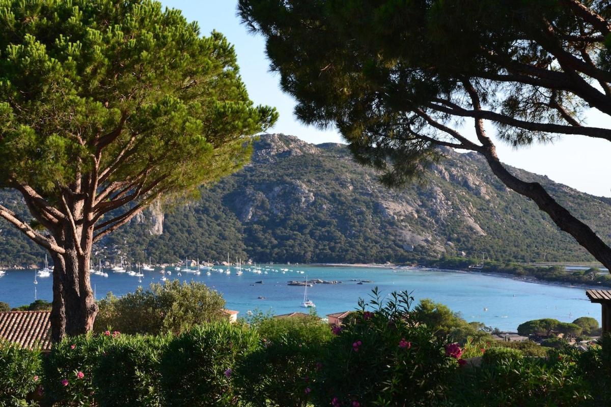Emmanuel Porto-Vecchio (Corsica)